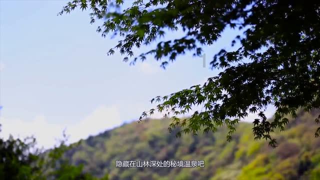 探索请问有人知道这是什么漫画吗?,发现新世界!